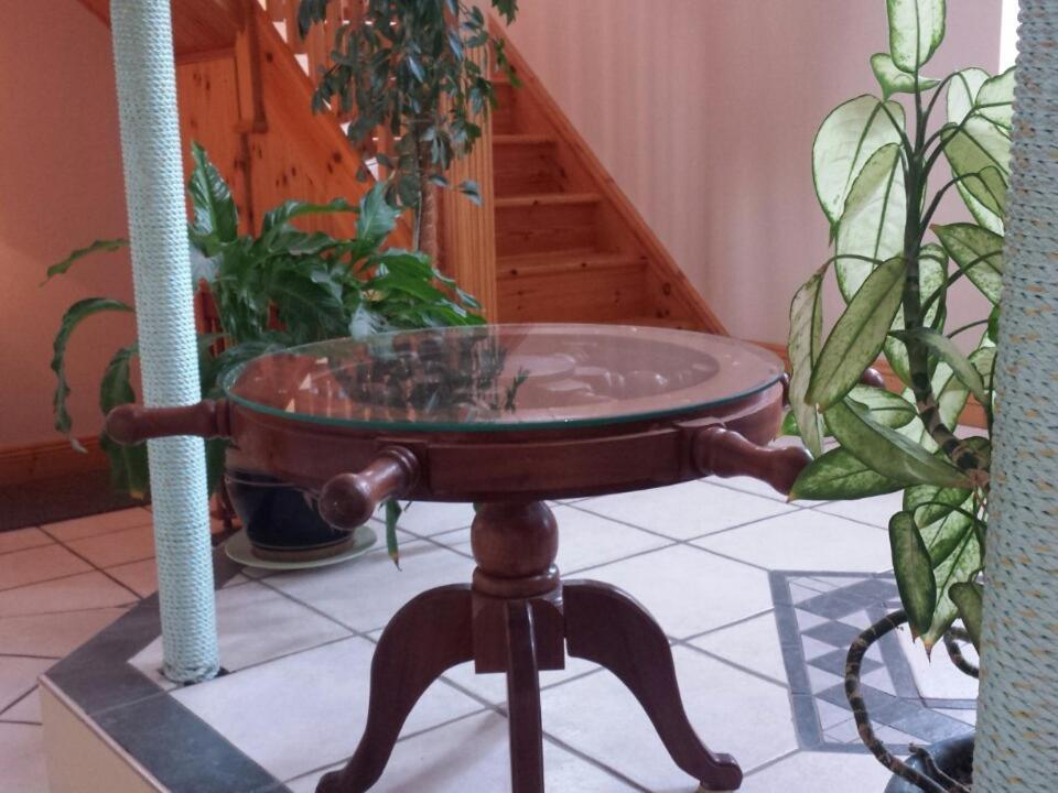 赛丽斯住宿加早餐旅馆 邓坎嫩 外观 照片
